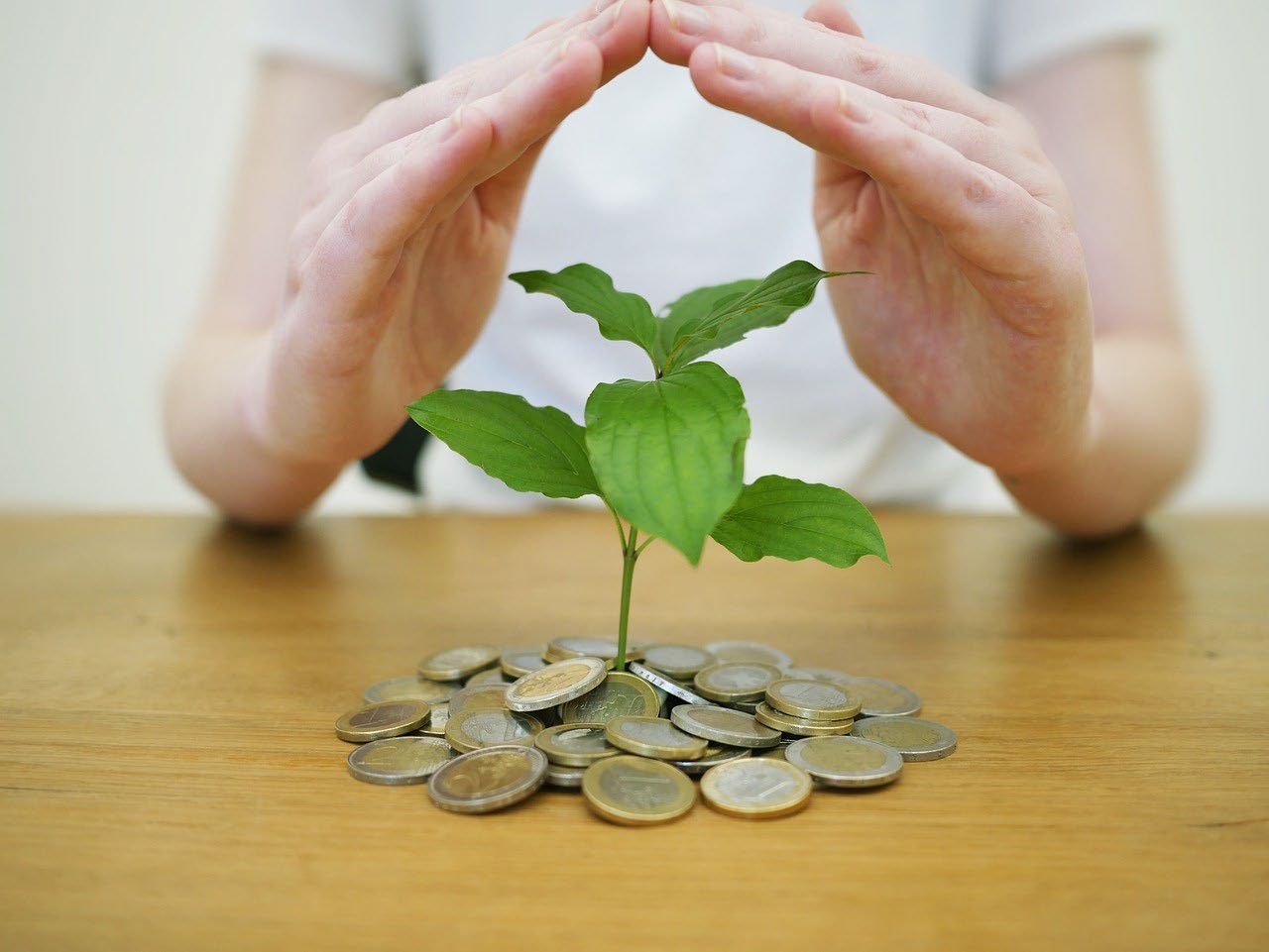 Csenge Asset Management